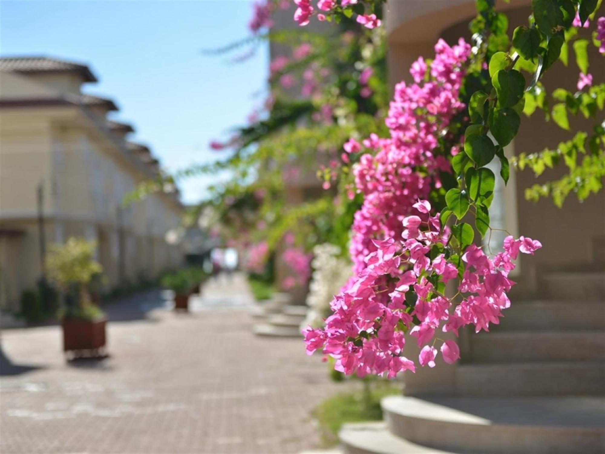 פאטהיה Sunset Beach Club Lebrentals מראה חיצוני תמונה